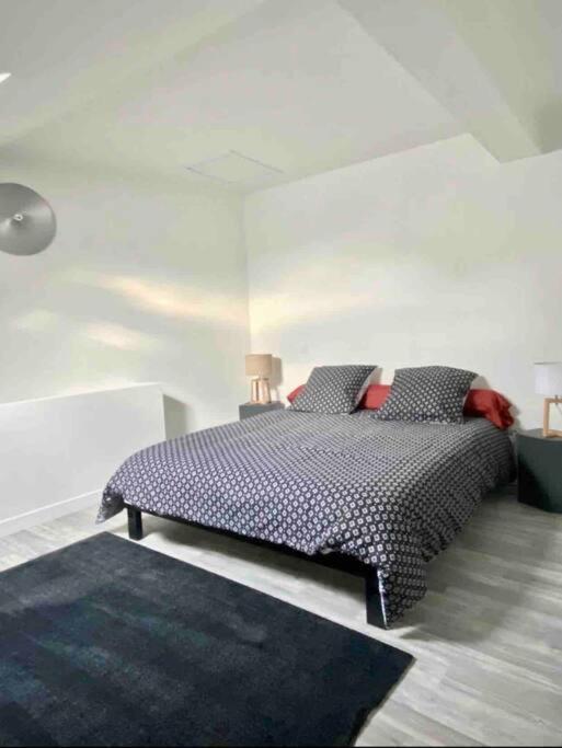 Appartement Centre Ville Saint-Amand-Mont-Rond エクステリア 写真